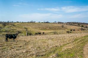 E 67 Acres TBD Upper Denton Road - Photo 31