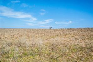 E 67 Acres TBD Upper Denton Road - Photo 5