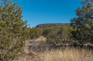 T3 County Road 175 - Photo 11