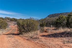 T3 County Road 175 - Photo 16