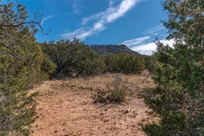 T3 County Road 175 - Photo 22