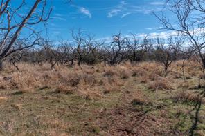 T3 County Road 175 - Photo 23