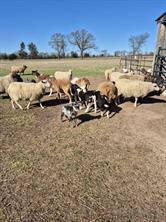 274 CR 3230 SW - Photo 25