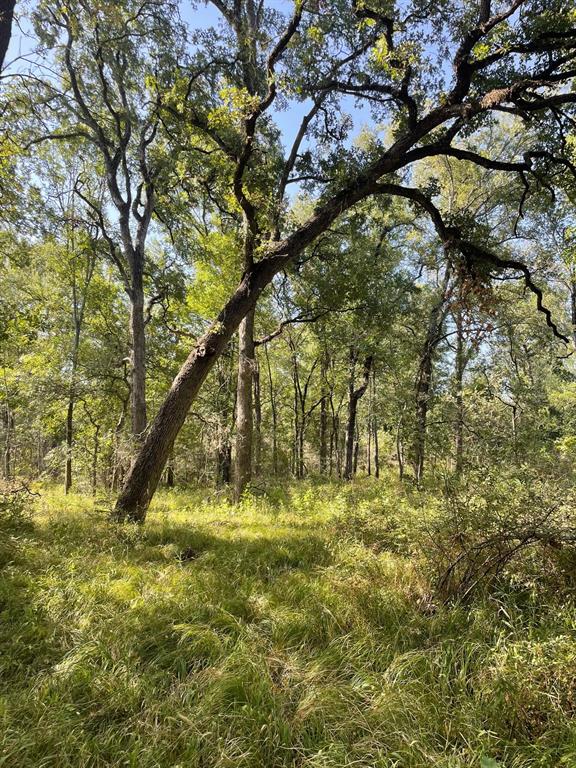 00 TBD 828 LCR 828 - Photo 1