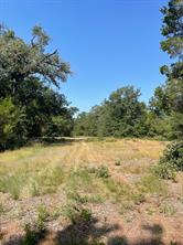 00 TBD 828 LCR 828 - Photo 5