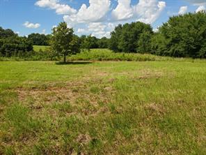 Lot 2 Rains CR1140 Road - Photo 6