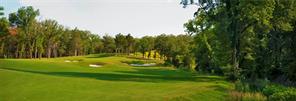 TBD Castle Pines - Photo 6