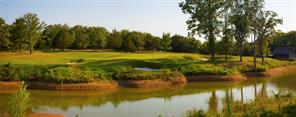 TBD Castle Pines - Photo 7