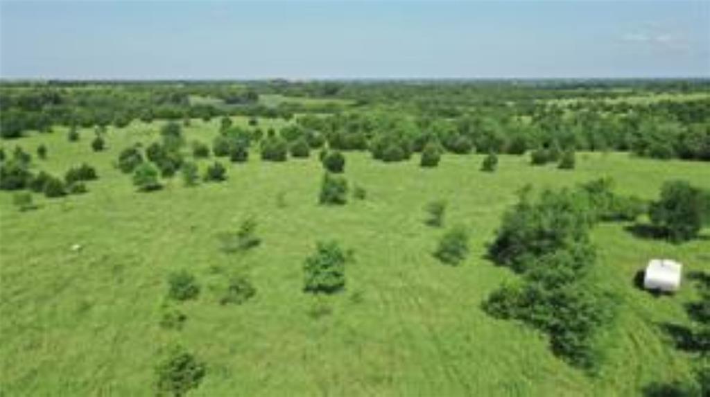 TBD 22.494 County Road 703 - Photo 12