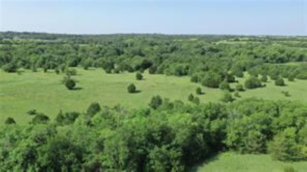 TBD 22.494 County Road 703 - Photo 13