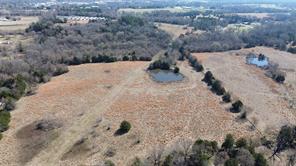 Lot 3 Rains CR1140 Road - Photo 3