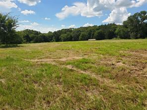 Lot 3 Rains CR1140 Road - Photo 4