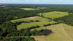 Lot 3 Rains CR1140 Road - Photo 8