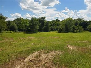 Lot 3 Rains CR1140 Road - Photo 9