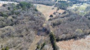 Lot 6 Rains CR1140 Road - Photo 5