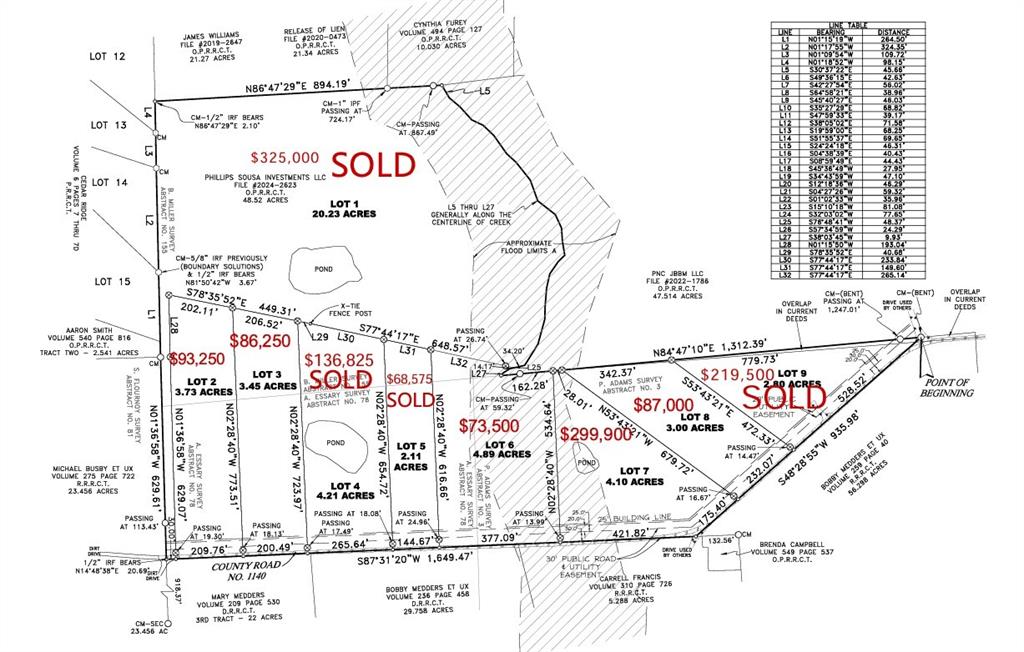 Lot 8 Rains CR1140 Road - Photo 1