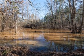 TBD State Highway 64 - Photo 23