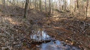 TBD State Highway 64 - Photo 24