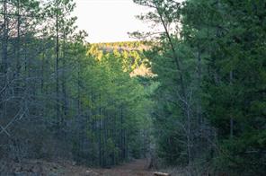 TBD State Highway 64 - Photo 36