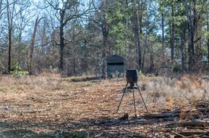 TBD State Highway 64 - Photo 4