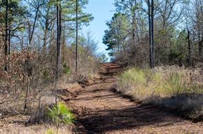 TBD State Highway 64 - Photo 7