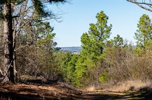 TBD State Highway 64 - Photo 8