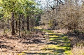 TBD State Highway 64 - Photo 9