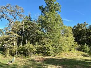 27A Annadale Lane - Photo 3