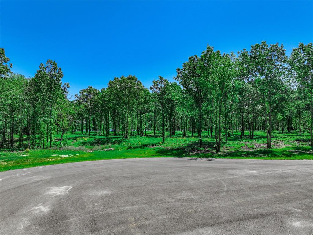TBD Private Road 5862 - Photo 13