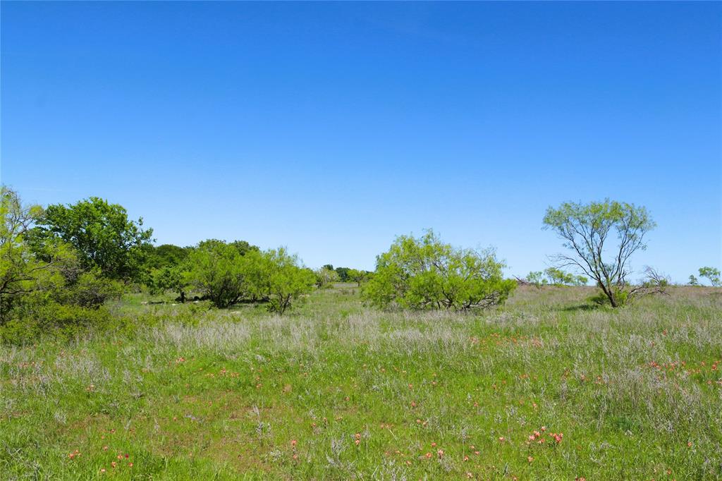 10543 Old Joy Shannon Road - Photo 35