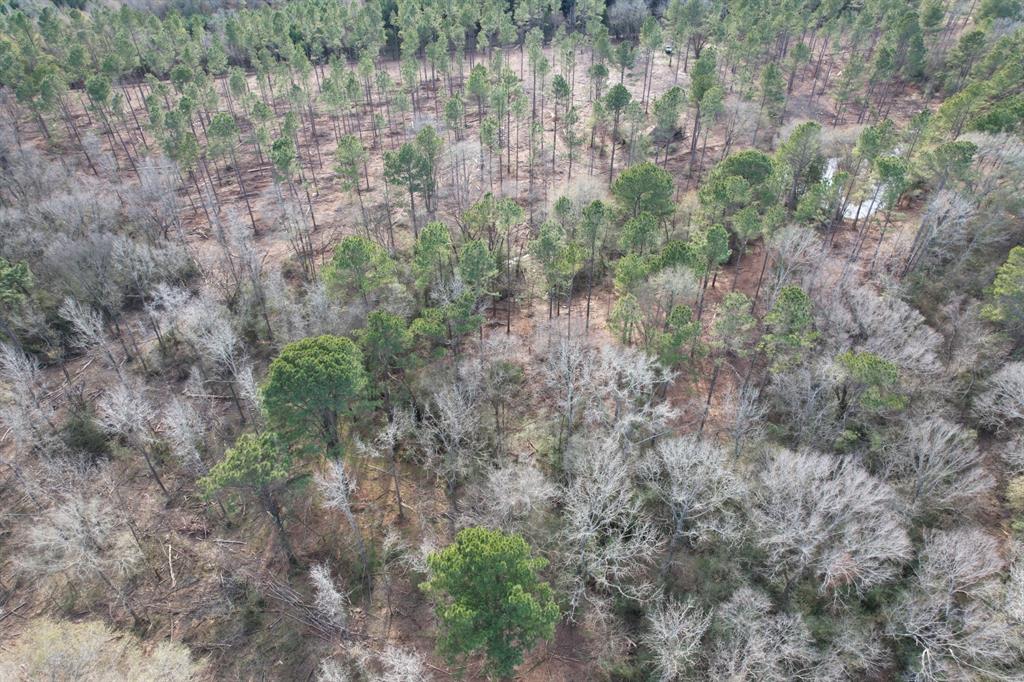 Tract B County Road 4037 - Photo 2
