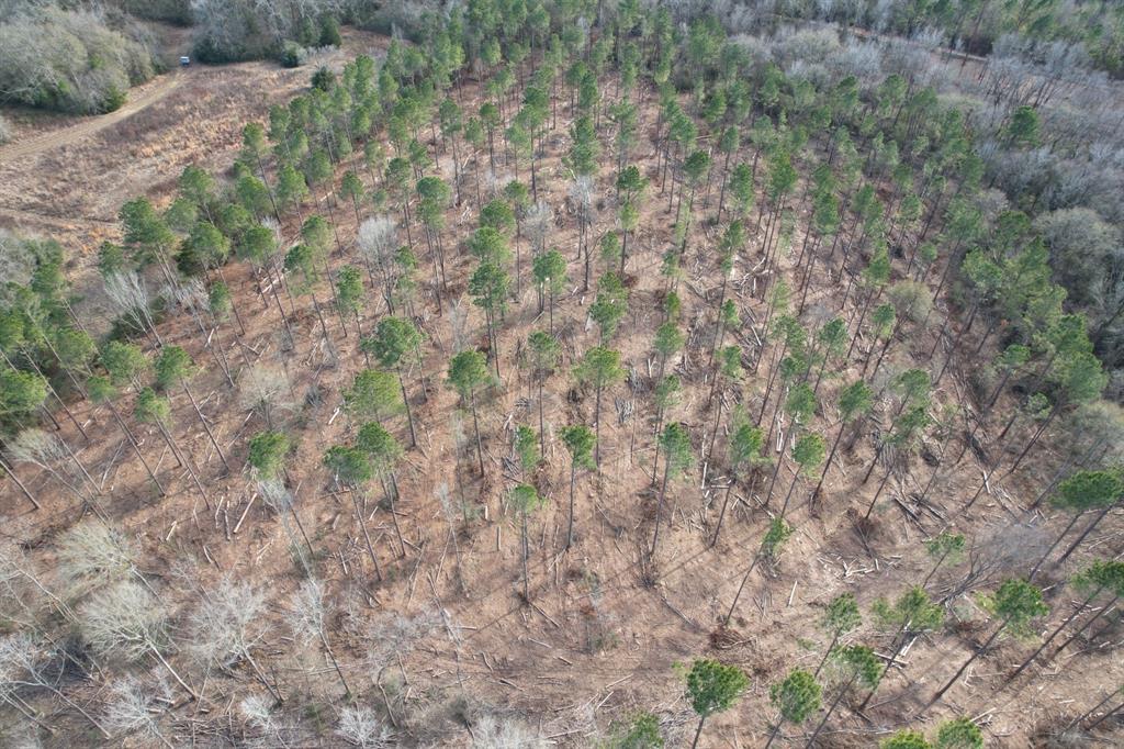 Tract B County Road 4037 - Photo 3