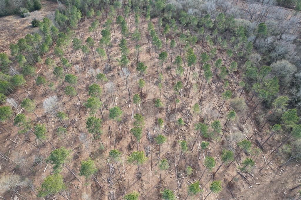 Tract B County Road 4037 - Photo 4