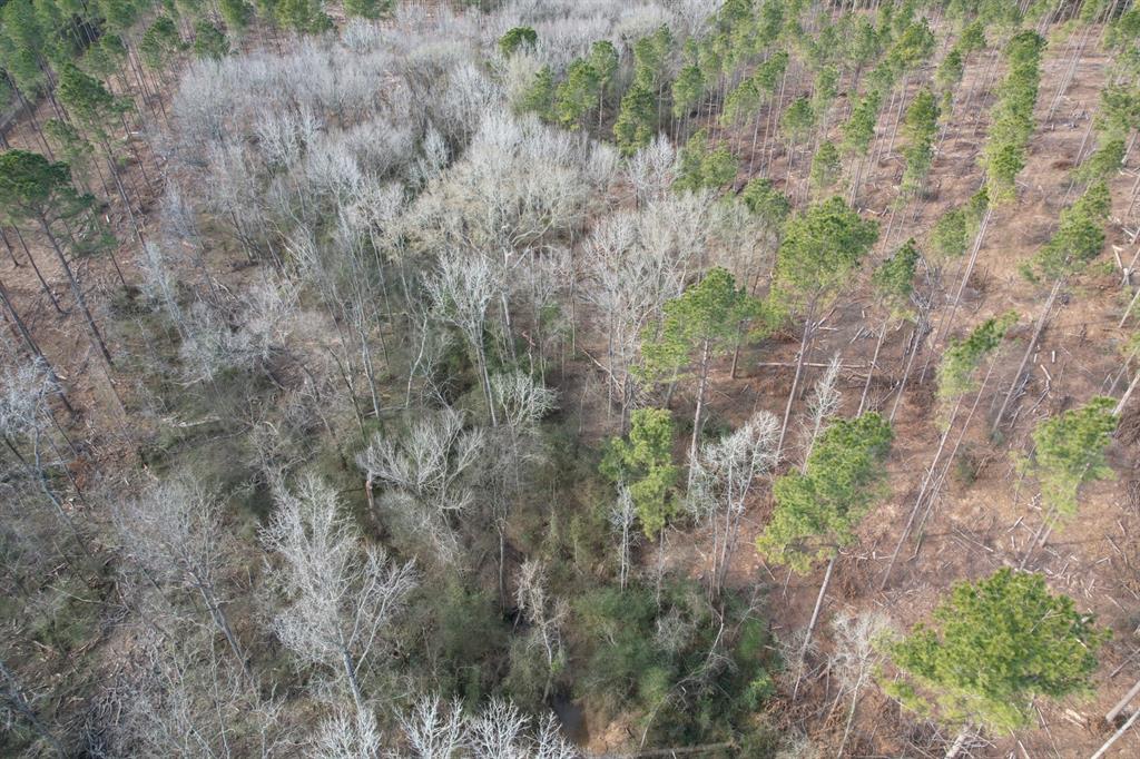 Tract B County Road 4037 - Photo 7