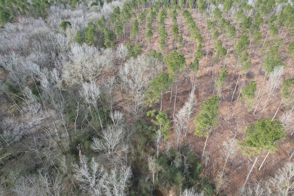 Tract B County Road 4037 - Photo 8