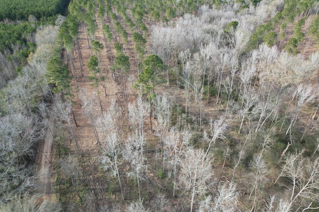 Tract B County Road 4037 - Photo 9