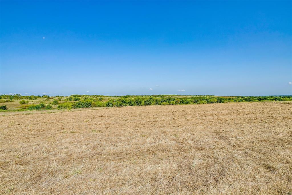965 San Jacinto - Photo 15