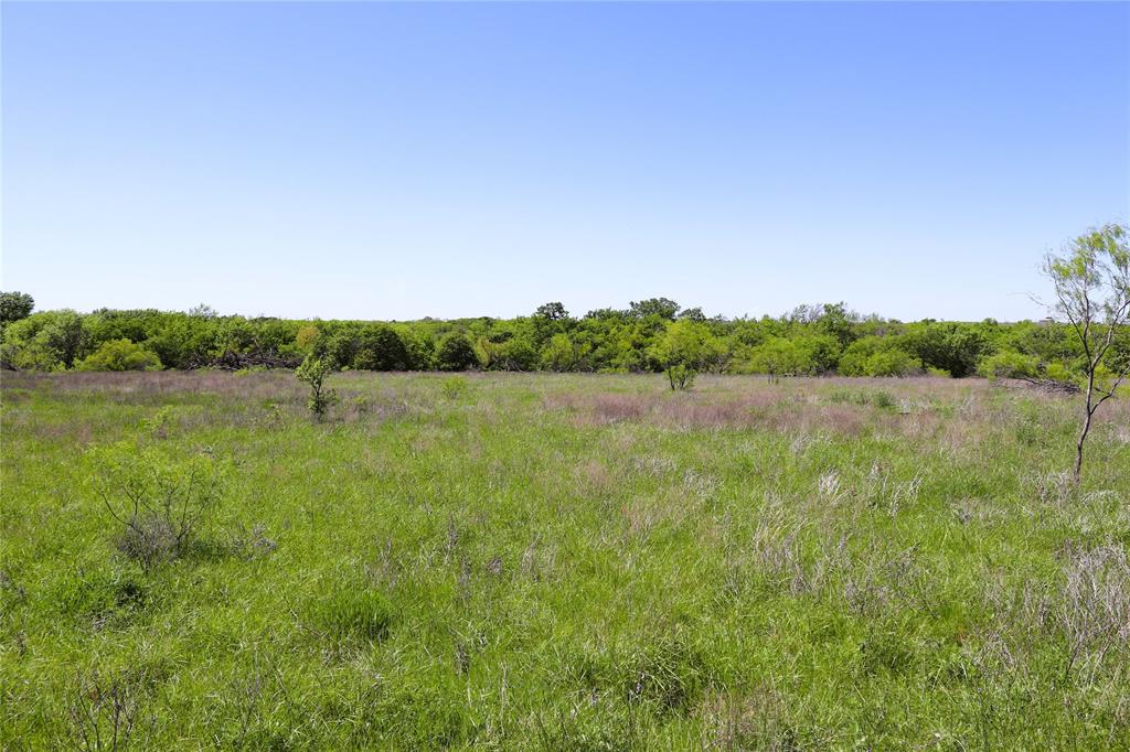 40 Acres Sears Mayfield Rd - Photo 13