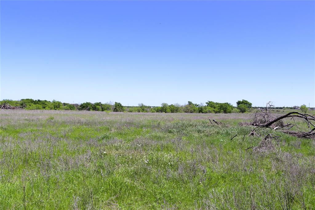 40 Acres Sears Mayfield Rd - Photo 15