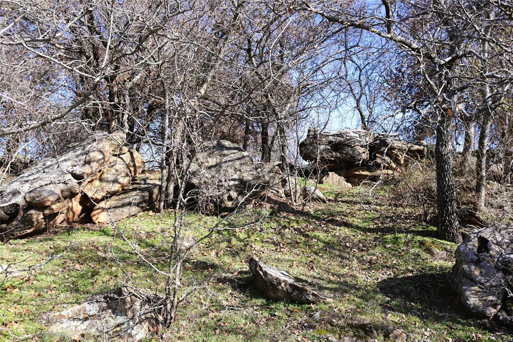 40 Acres Sears Mayfield Rd - Photo 16