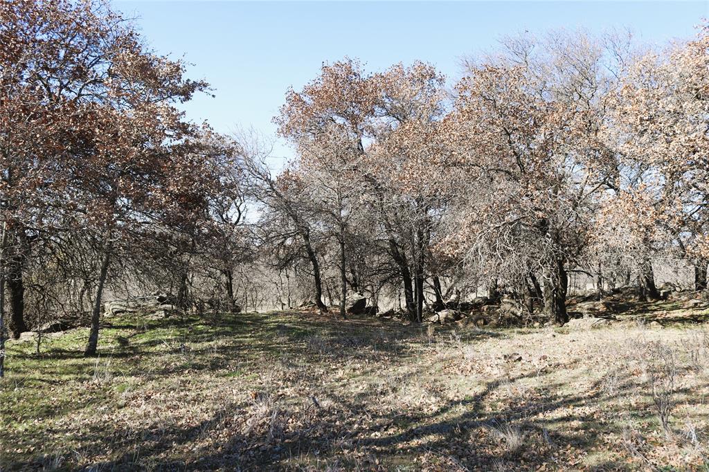 40 Acres Sears Mayfield Rd - Photo 18