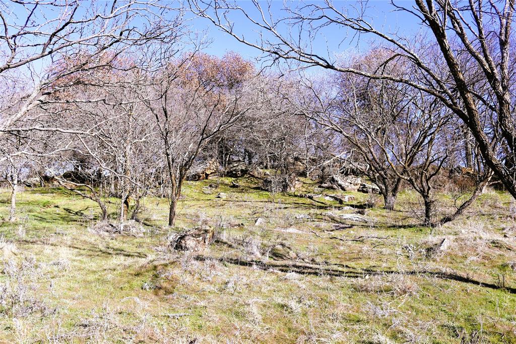 40 Acres Sears Mayfield Rd - Photo 19