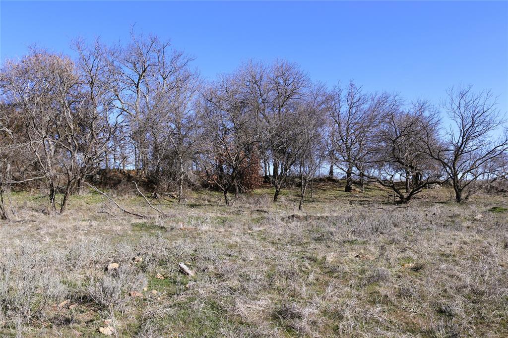 40 Acres Sears Mayfield Rd - Photo 20