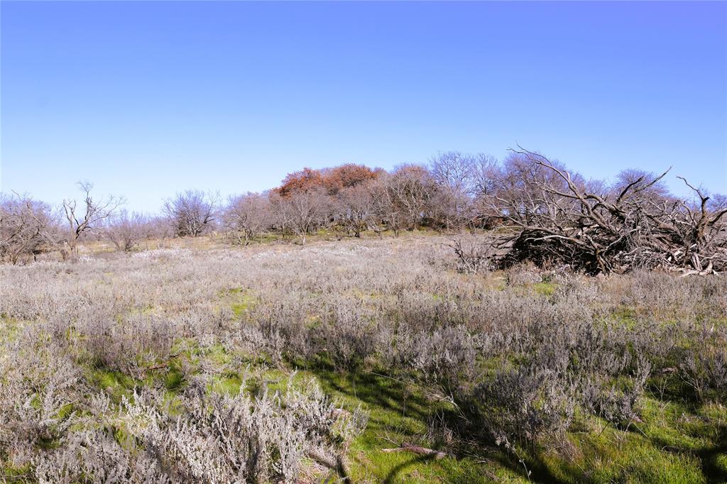 40 Acres Sears Mayfield Rd - Photo 21