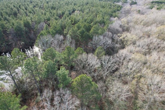 Tract C County Road 4037