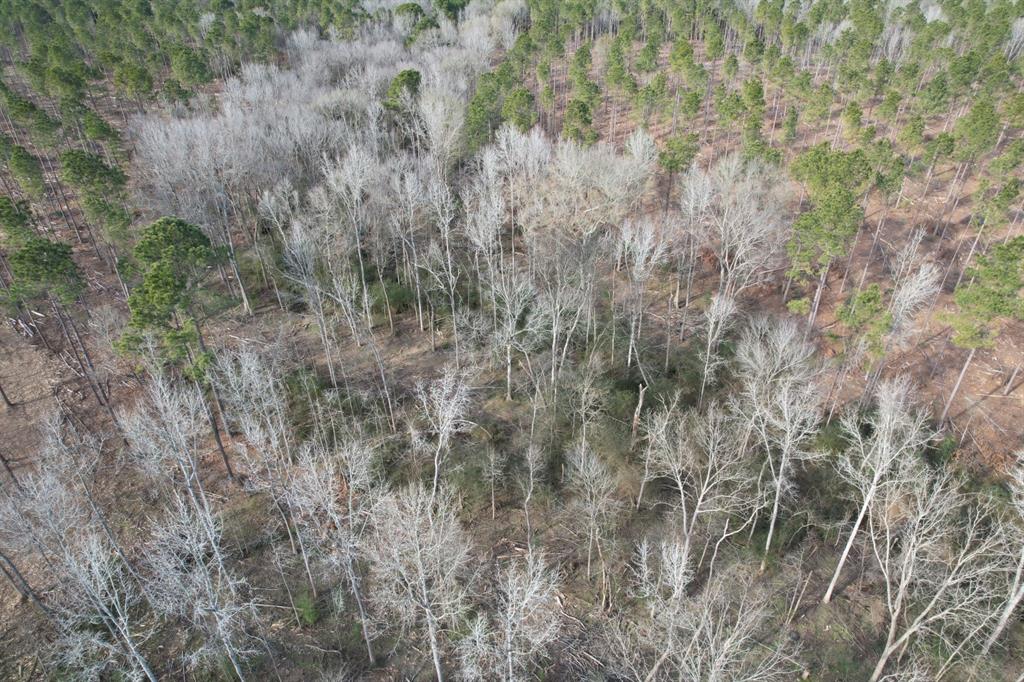Tract C County Road 4037 - Photo 2