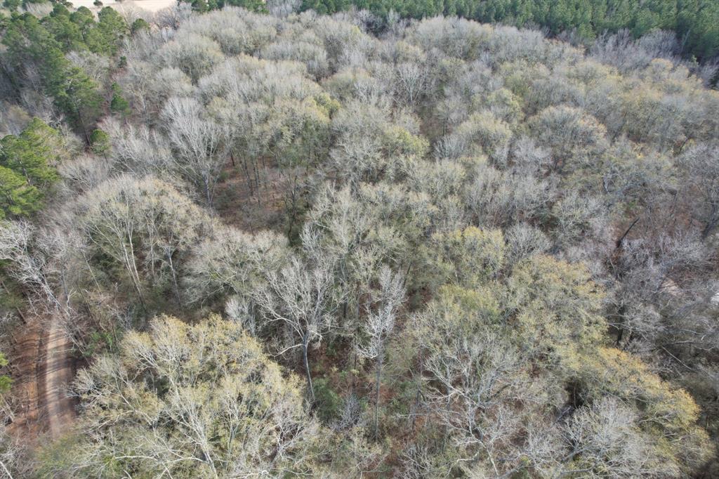 Tract C County Road 4037 - Photo 3
