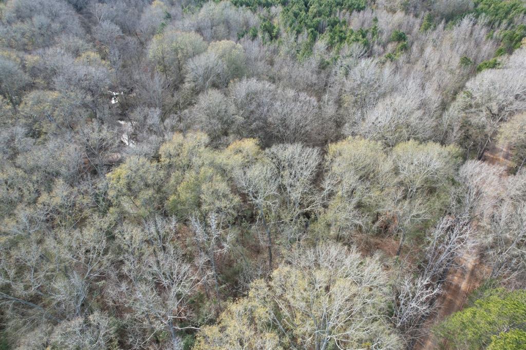 Tract C County Road 4037 - Photo 4