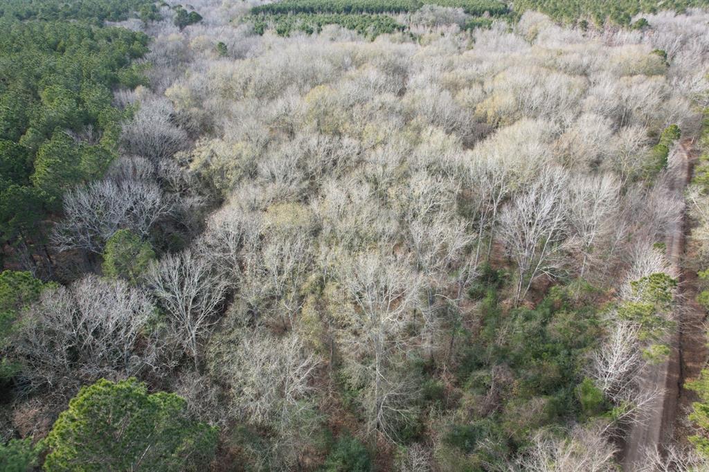 Tract C County Road 4037 - Photo 5