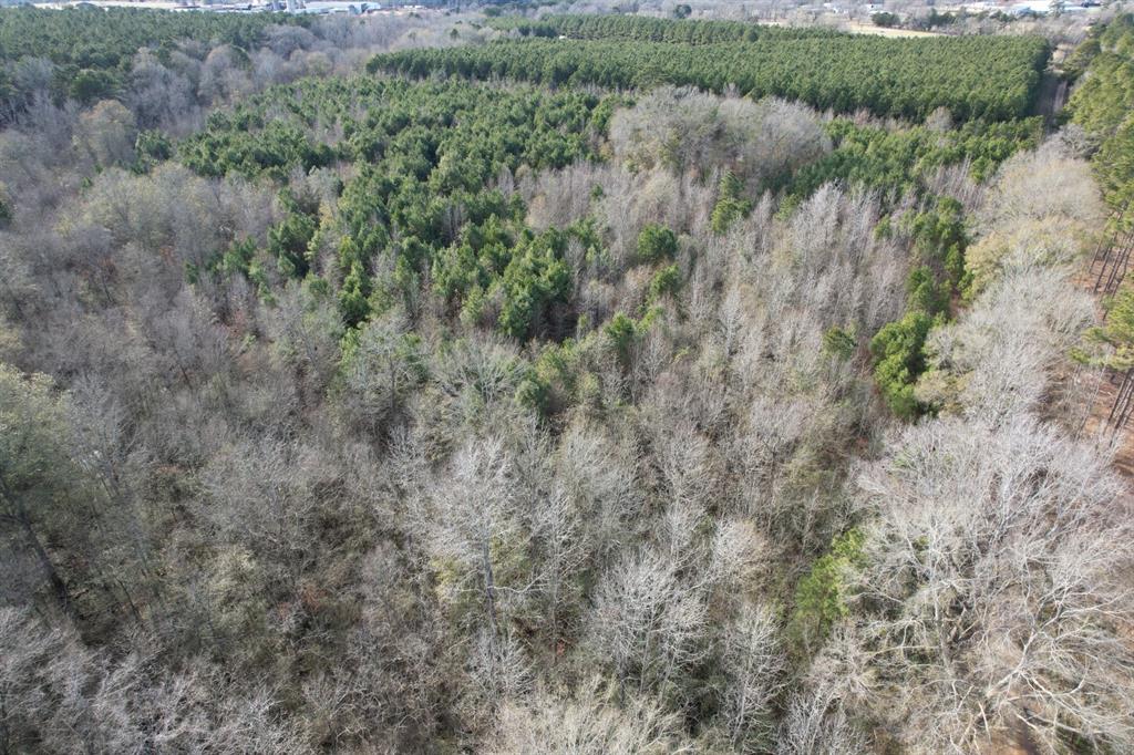 Tract C County Road 4037 - Photo 8